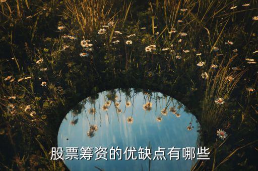 發(fā)行股票的好處壞處,上市公司轉(zhuǎn)贈股票好處和壞處