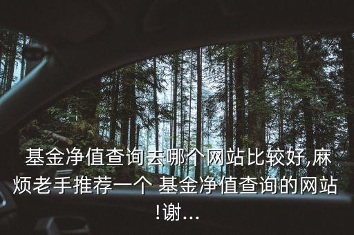  基金凈值查詢?nèi)ツ膫€網(wǎng)站比較好,麻煩老手推薦一個 基金凈值查詢的網(wǎng)站!謝...