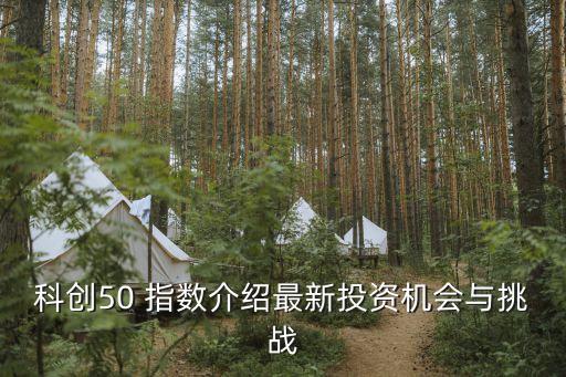 50指數(shù)股票,深圳50指數(shù)股票