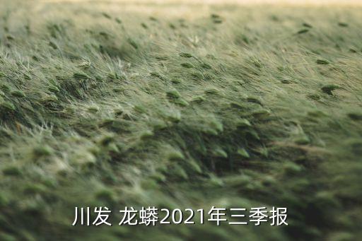 川發(fā) 龍蟒2021年三季報