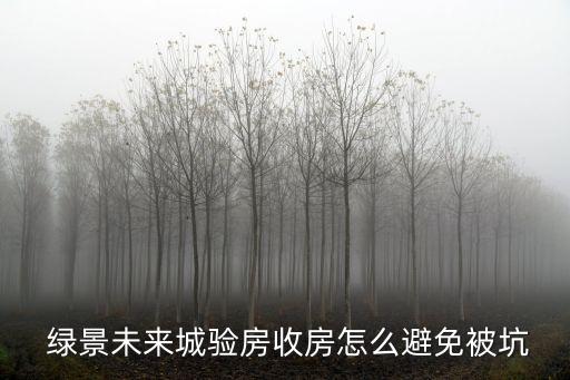  綠景未來城驗房收房怎么避免被坑