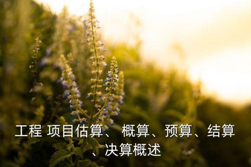 工程 項(xiàng)目估算、 概算、預(yù)算、結(jié)算、決算概述