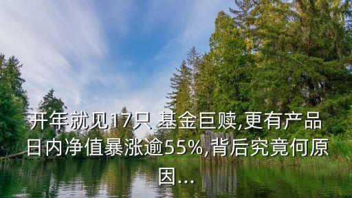 開年就見17只 基金巨贖,更有產(chǎn)品日內(nèi)凈值暴漲逾55%,背后究竟何原因...