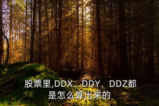  股票里,DDX、DDY、DDZ都是怎么算出來的