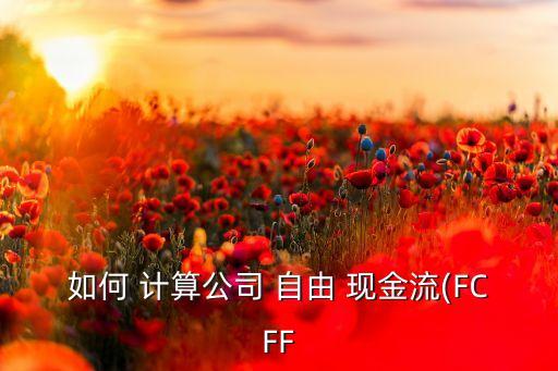 如何 計算公司 自由 現(xiàn)金流(FCFF