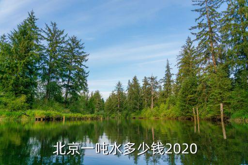  北京一噸水多少錢2020