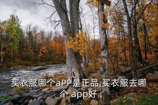 買衣服哪個aPP是正品,買衣服去哪個 app好