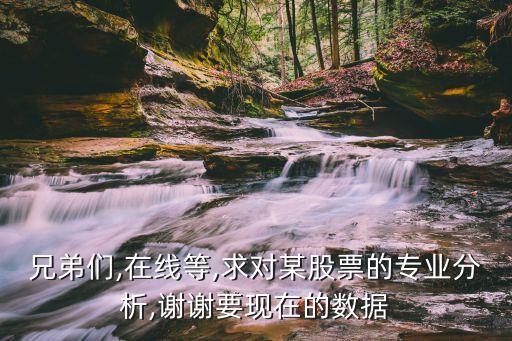 兄弟們,在線等,求對(duì)某股票的專業(yè)分析,謝謝要現(xiàn)在的數(shù)據(jù)