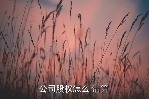 公司股權(quán)怎么 清算