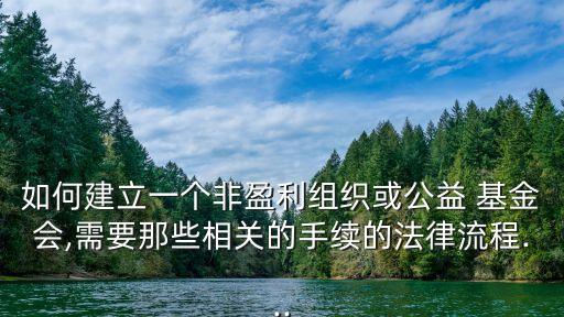 如何建立一個非盈利組織或公益 基金會,需要那些相關(guān)的手續(xù)的法律流程...