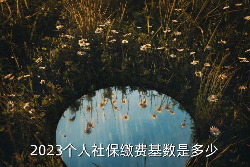 2023個人社保繳費(fèi)基數(shù)是多少