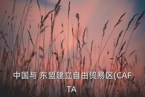 中國與 東盟建立自由貿(mào)易區(qū)(CAFTA