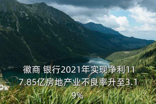  徽商 銀行2021年實現凈利117.85億房地產業(yè)不良率升至3.19%