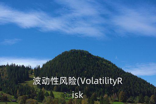 波動性風(fēng)險(VolatilityRisk