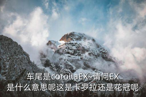 車尾是corollaEX~請問EX是什么意思呢這是卡羅拉還是花冠呢