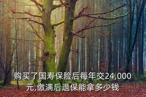 購買了國壽保險后每年交24,000元,繳滿后退保能拿多少錢