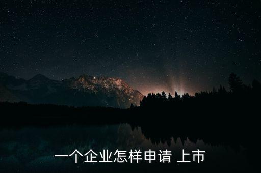 一個(gè)企業(yè)怎樣申請(qǐng) 上市