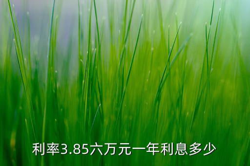 利率3.85六萬(wàn)元一年利息多少