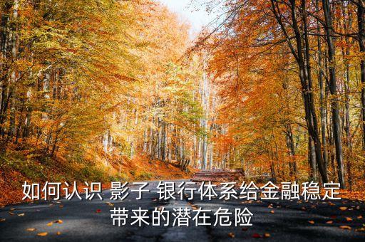 如何認(rèn)識 影子 銀行體系給金融穩(wěn)定帶來的潛在危險(xiǎn)