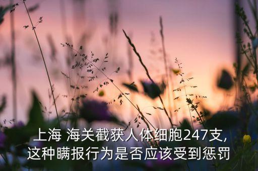  上海 海關截獲人體細胞247支,這種瞞報行為是否應該受到懲罰