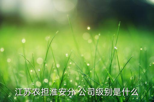 江蘇農(nóng)擔(dān)淮安分 公司級別是什么