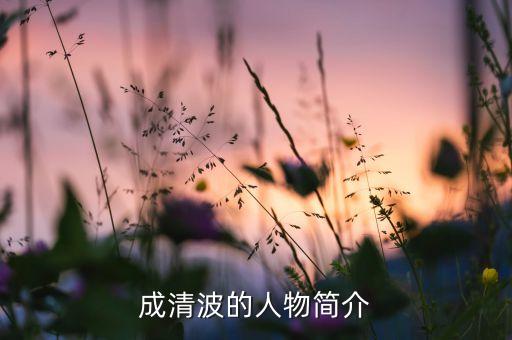 成清波的人物簡(jiǎn)介