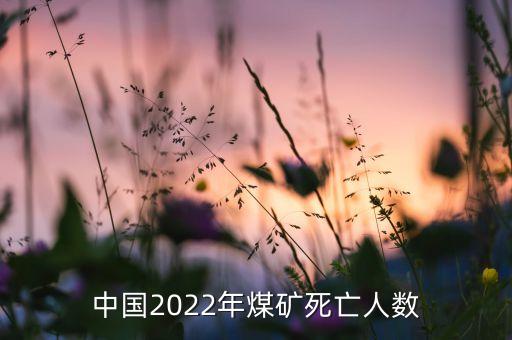 中國2022年煤礦死亡人數(shù)