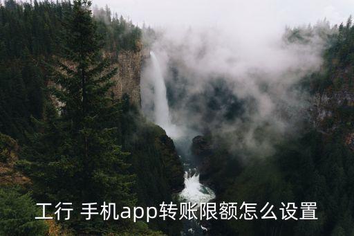 工行 手機(jī)app轉(zhuǎn)賬限額怎么設(shè)置