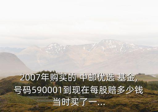 2007年購買的 中郵優(yōu)選 基金,號碼590001到現(xiàn)在每股賠多少錢當(dāng)時(shí)買了一...