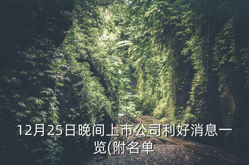 12月25日晚間上市公司利好消息一覽(附名單