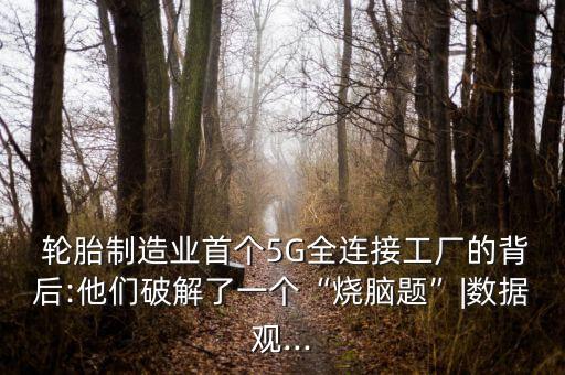  輪胎制造業(yè)首個(gè)5G全連接工廠的背后:他們破解了一個(gè)“燒腦題”|數(shù)據(jù)觀...