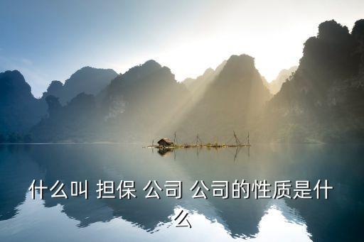 什么叫 擔保 公司 公司的性質(zhì)是什么