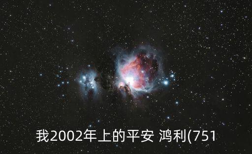 我2002年上的平安 鴻利(751