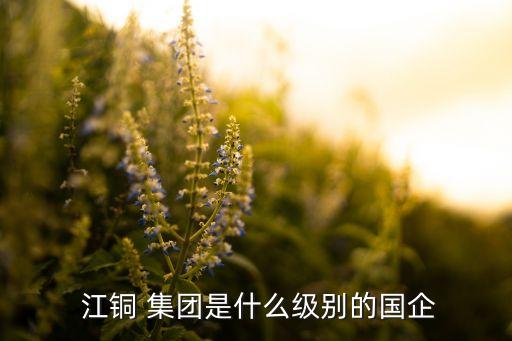  江銅 集團(tuán)是什么級(jí)別的國(guó)企