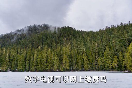 數(shù)字電視可以網(wǎng)上繳費嗎