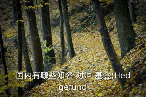 國內(nèi)有哪些知名 對(duì)沖 基金(Hedgefund