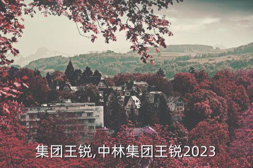 卓越集團王銳,中林集團王銳2023