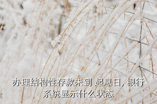 辦理結(jié)構(gòu)性存款未到 起息日, 銀行系統(tǒng)顯示什么狀態(tài)