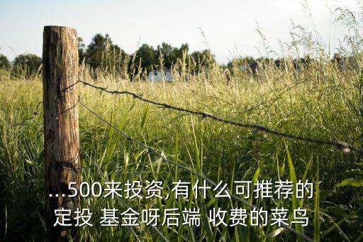 ...500來投資,有什么可推薦的定投 基金呀后端 收費的菜鳥