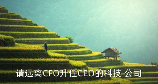 請遠(yuǎn)離CFO升任CEO的科技 公司