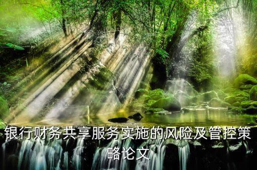 銀行財務(wù)共享服務(wù)實施的風(fēng)險及管控策略論文