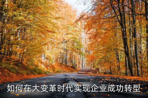 如何在大變革時代實現(xiàn)企業(yè)成功轉(zhuǎn)型