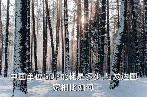 中國單位GDP能耗是多少,與發(fā)達(dá)國家相比如何