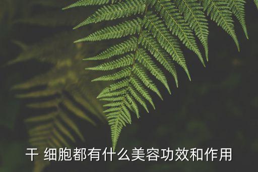 干 細(xì)胞都有什么美容功效和作用