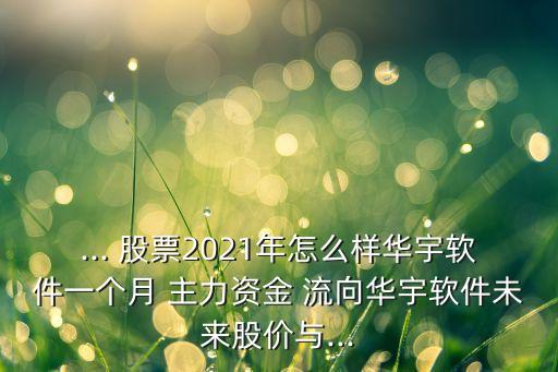 ... 股票2021年怎么樣華宇軟件一個(gè)月 主力資金 流向華宇軟件未來股價(jià)與...