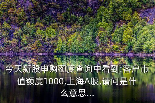 今天新股申購(gòu)額度查詢中看到:客戶市值額度1000,上海A股,請(qǐng)問是什么意思...