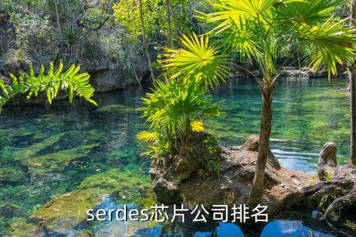 serdes芯片公司排名