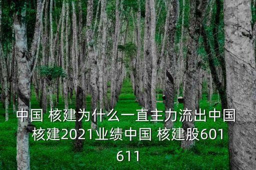 中國 核建為什么一直主力流出中國 核建2021業(yè)績中國 核建股601611