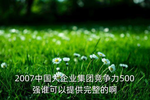 2007中國大企業(yè)集團(tuán)競爭力500強誰可以提供完整的啊