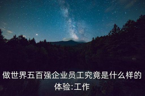 全球前百公司的待遇,標普全球公司待遇